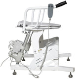 Dignity Lifts Basic Toilet Lift BL1