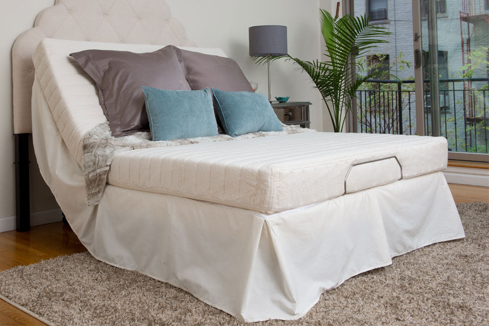 Transfer Master Supernal 3 Size Hi-Low Adjustable Reclining Bed